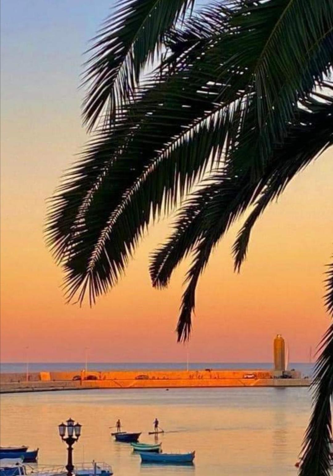 Summer Paradise Bari Rom bilde