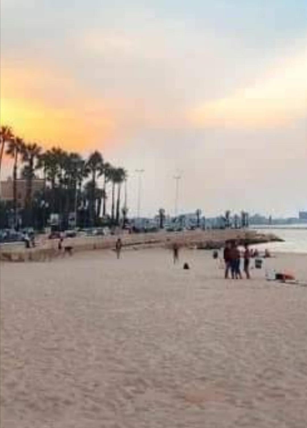 Summer Paradise Bari Rom bilde